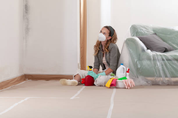 Reliable Mold Removal contractor in Keller, TX by Mold Remediation HQ